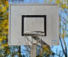 Basketbol sepeti, kasnak, net ile Basketbol Potası